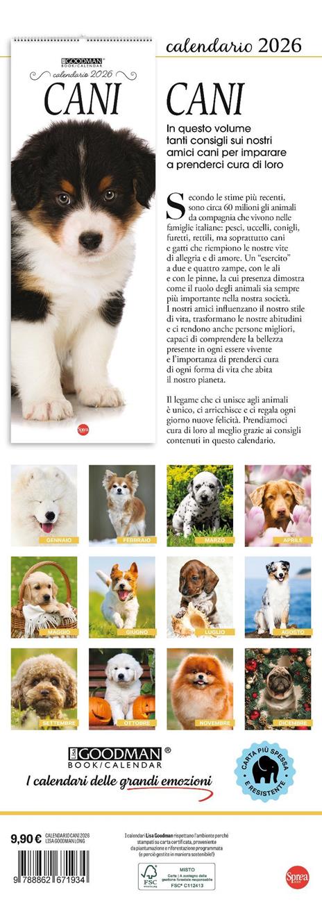 Cani. Calendario 2026. Long - 3