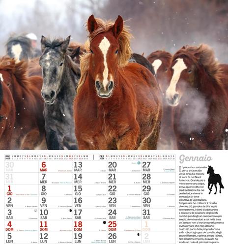 Cavalli. Calendario 2026 - 2