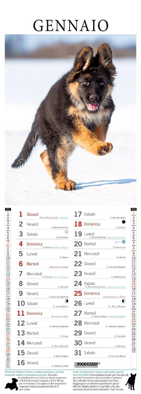 Pastore tedesco. Calendario 2026. Long - 2