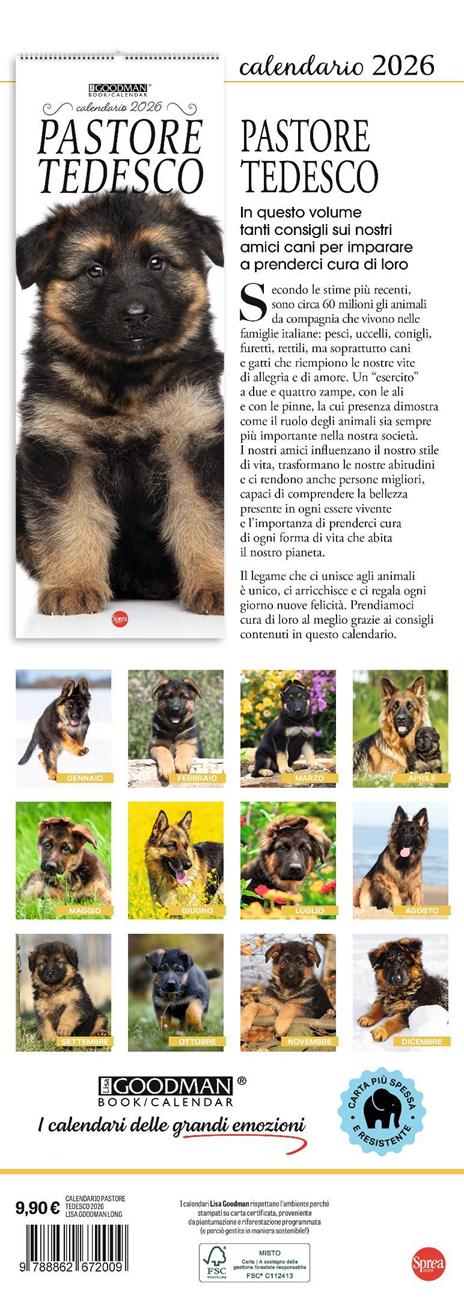 Pastore tedesco. Calendario 2026. Long - 3
