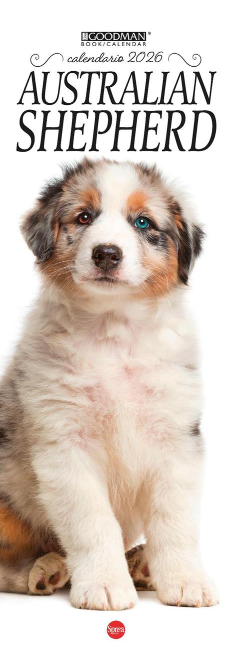 Australian shepherd. Calendario 2026. Long - copertina