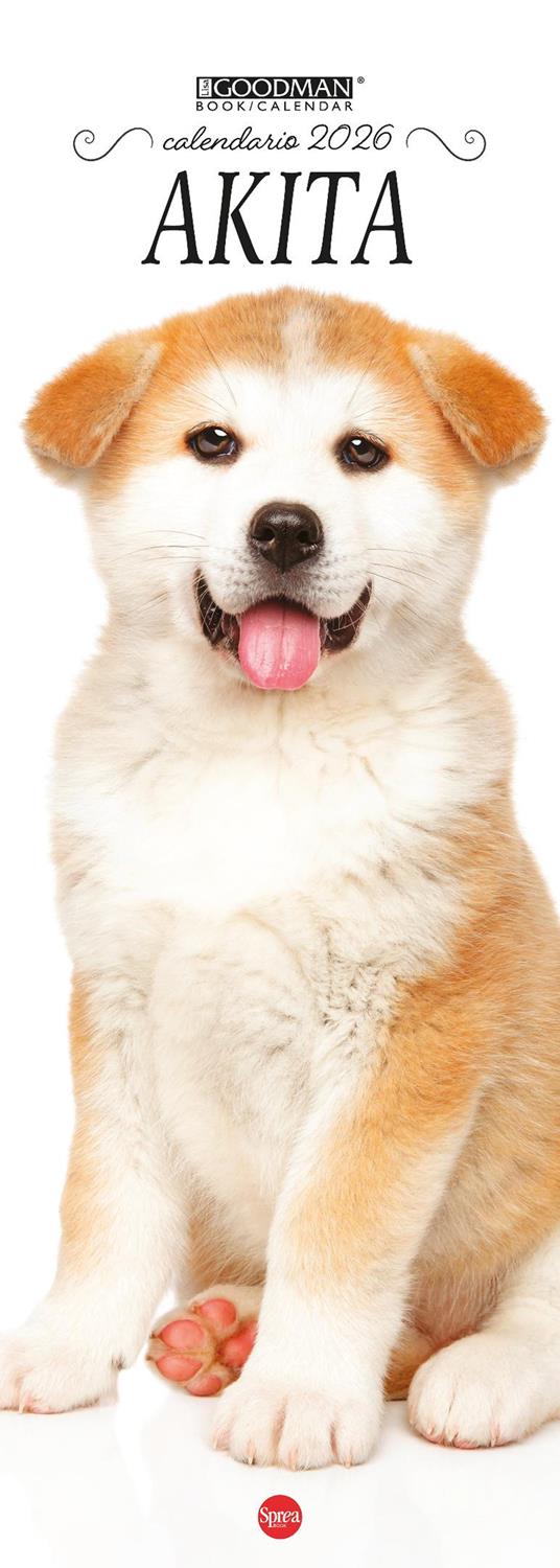 Akita Inu. Calendario 2026. Long - copertina