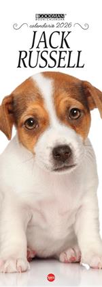 Jack Russel. Calendario 2026. Long