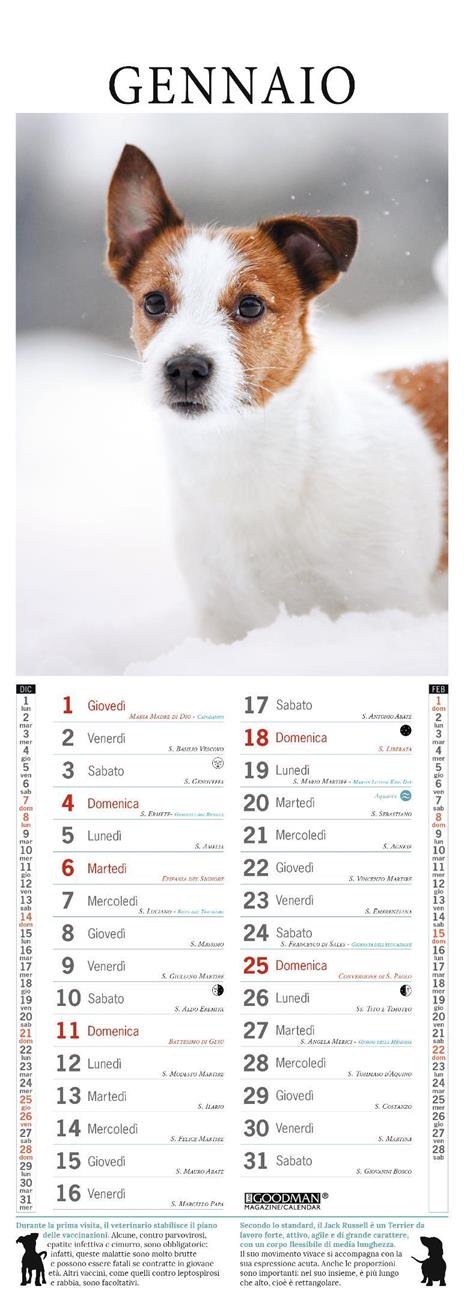 Jack Russell. Calendario 2026. Long - 2