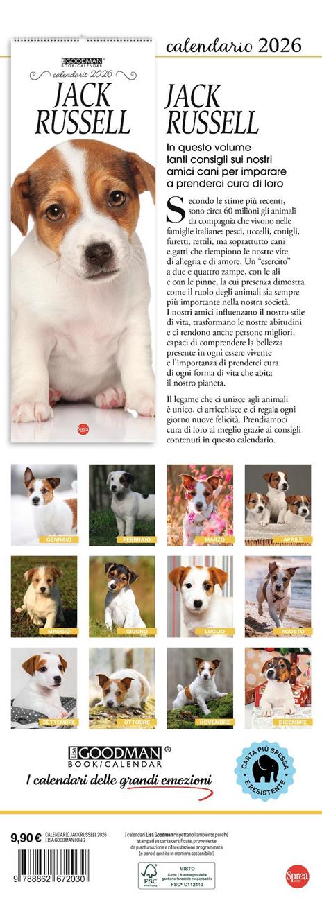 Jack Russell. Calendario 2026. Long - 3
