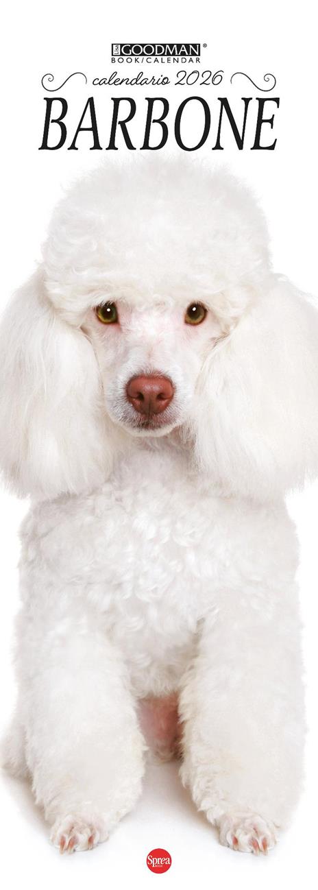 Barboncino. Calendario 2026. Long - copertina