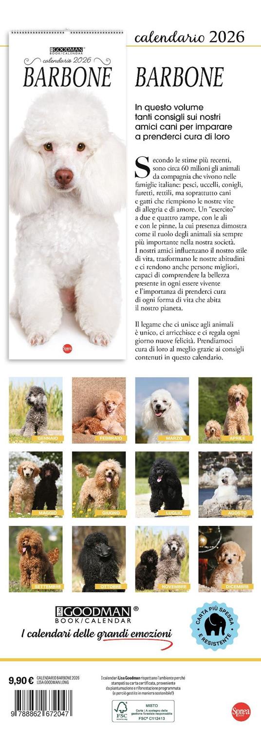 Barboncino. Calendario 2026. Long - 3