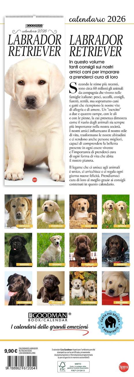 Labrador Retriever. Calendario 2026. Long - 3