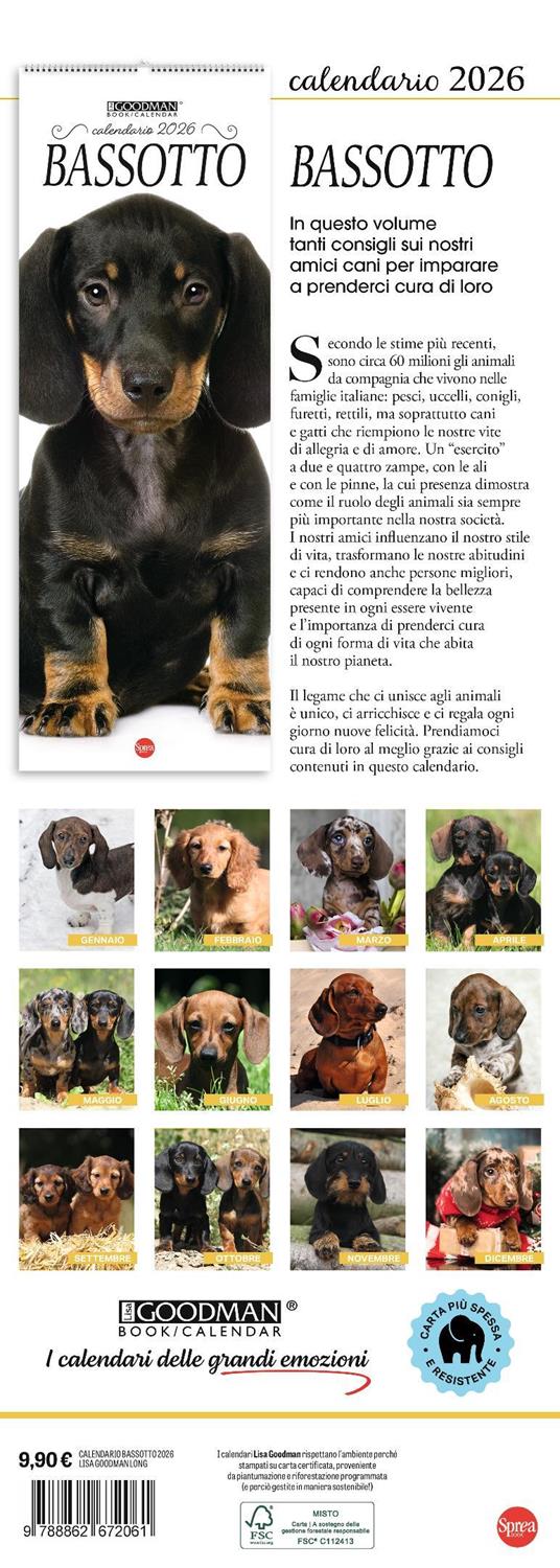 Bassotto. Calendario 2026. Long - 3