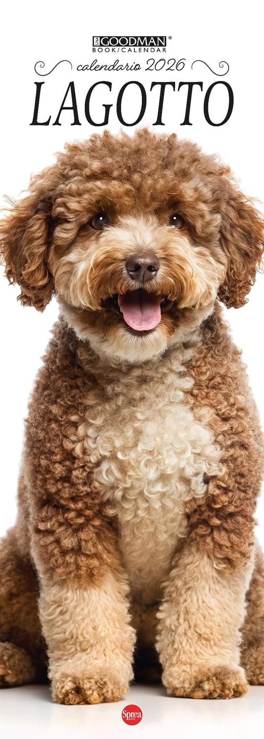 Lagotto. Calendario 2026. Long - copertina
