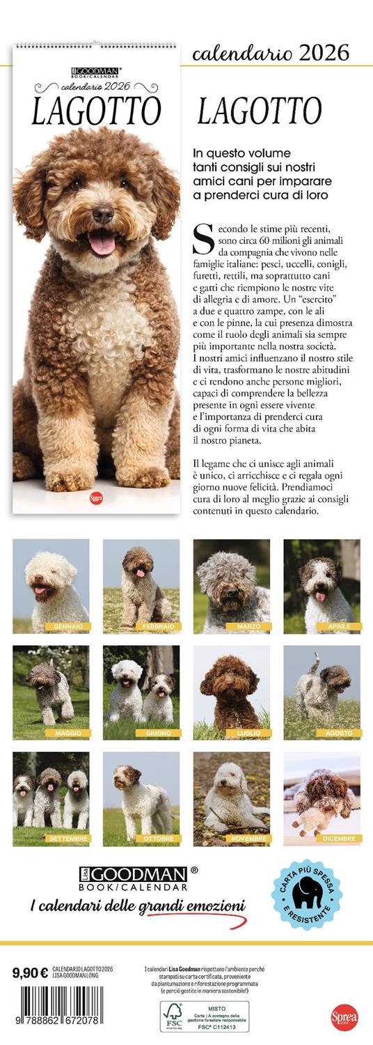 Lagotto. Calendario 2026. Long - 3