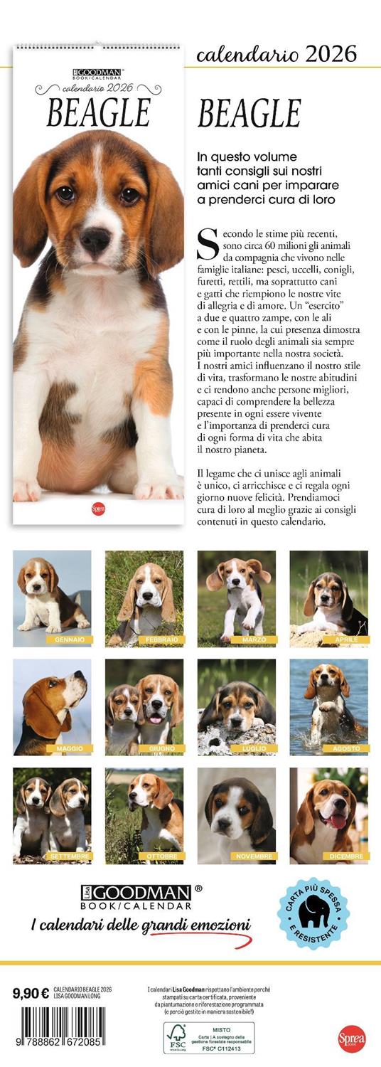 Beagle.Calendario 2026. Long - 3