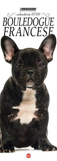 Bouledogue francese. Calendario 2026 Long