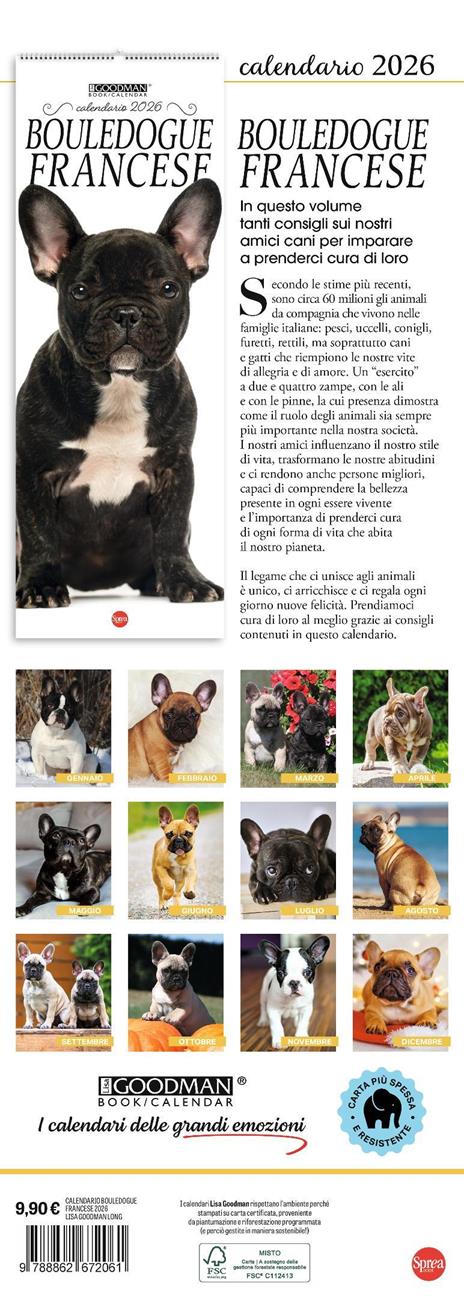 Bouledogue francese. Calendario 2026 Long - 3