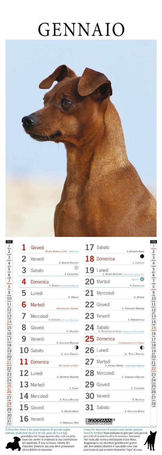 Pinscher. Calendario 2026. Long - 2