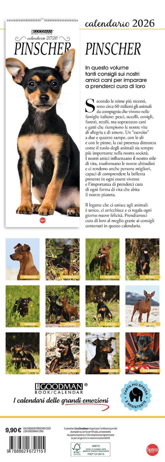 Pinscher. Calendario 2026. Long - 3