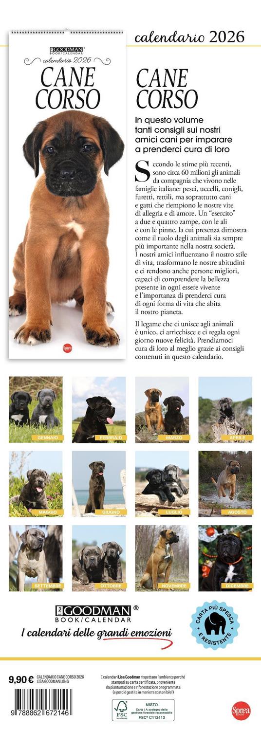 Cane corso. Calendario 2026. Long - 3