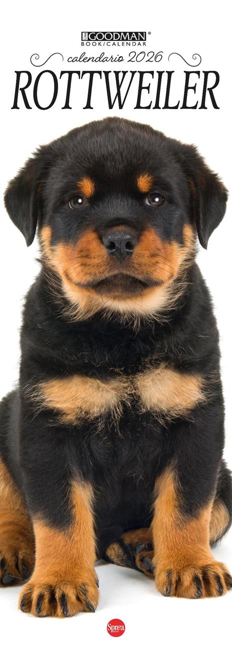 Rottweiler. Calendario 2026. Long - copertina