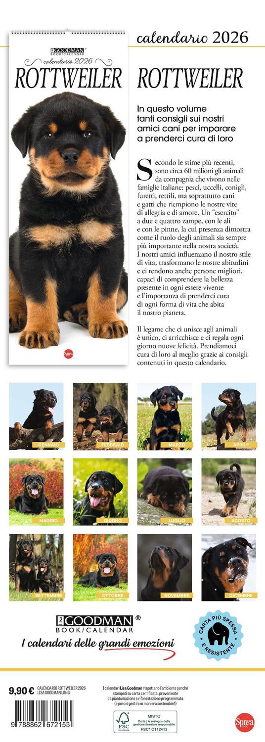 Rottweiler. Calendario 2026. Long - 3