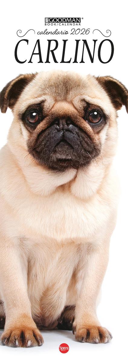 Carlino. Calendario 2026. Long - copertina