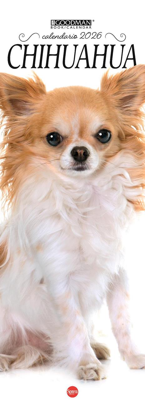 Chihuahua. Calendario 2026. Long - copertina