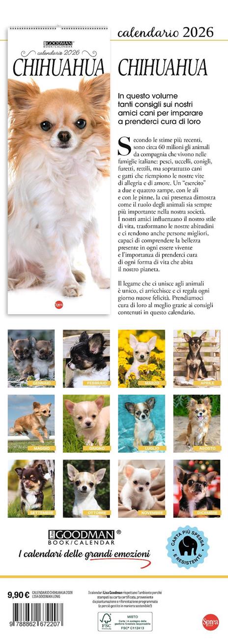 Chihuahua. Calendario 2026. Long - 3