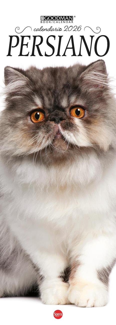 Persiano. Calendario 2026. Long - copertina