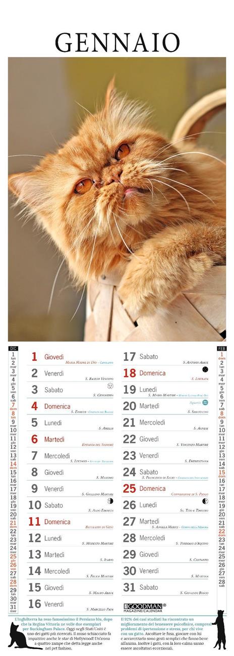 Persiano. Calendario 2026. Long - 2