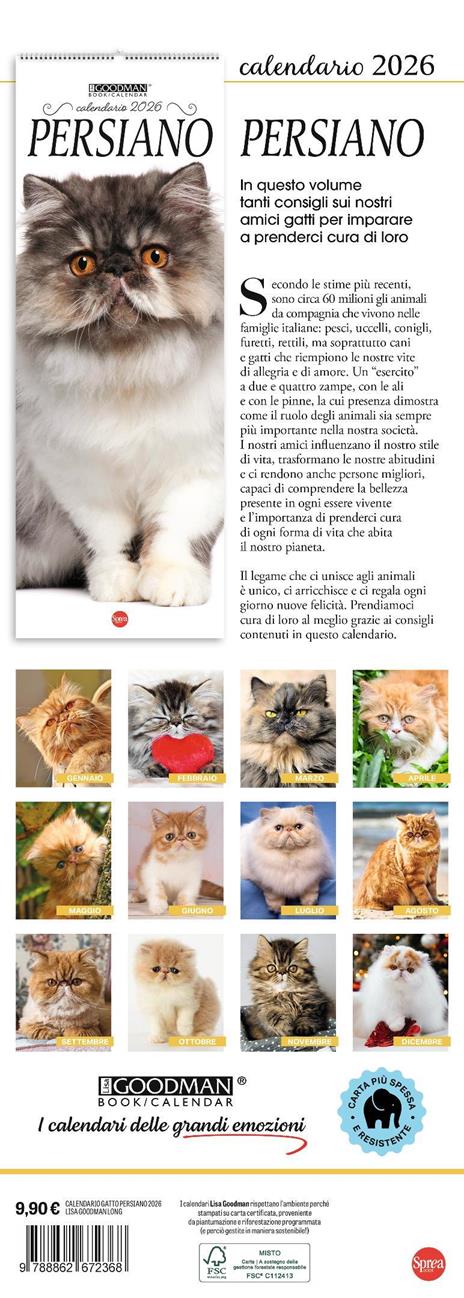 Persiano. Calendario 2026. Long - 3
