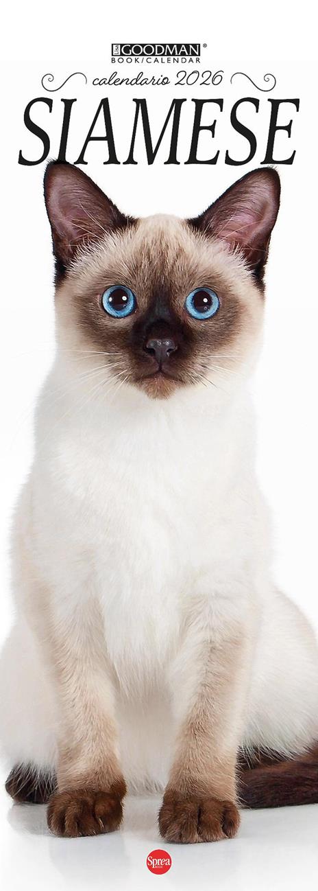 Siamese. Calendario 2026. Long - copertina