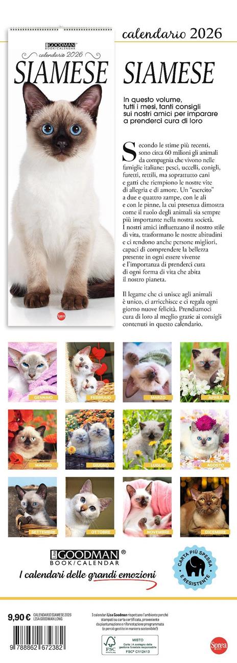Siamese. Calendario 2026. Long - 3