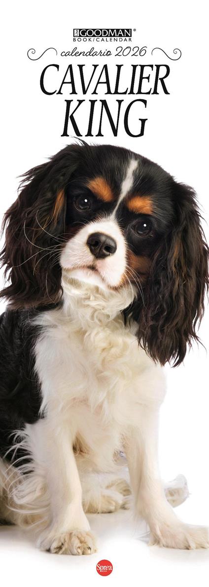 Cavalier king. Calendario 2026. Long - copertina