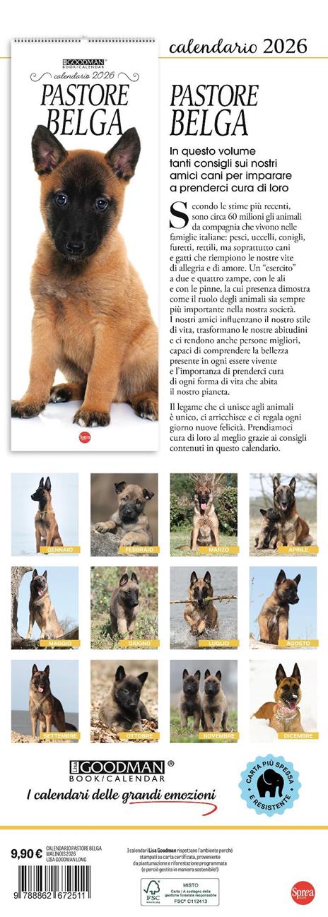 Pastore belga Malinois. Calendario 2026. Long - 3