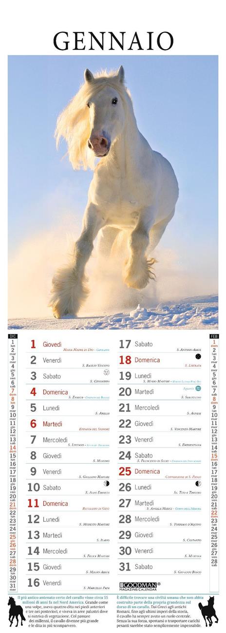Cavalli. Calendario Argos Compiega 2026. Long - 2