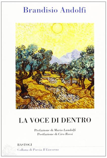 La voce di dentro - Brandisio Andolfi - copertina