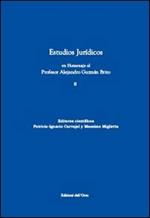 Estudios juridicos en homenaje al profesor Alejandro Guzman Brito. Vol. 2