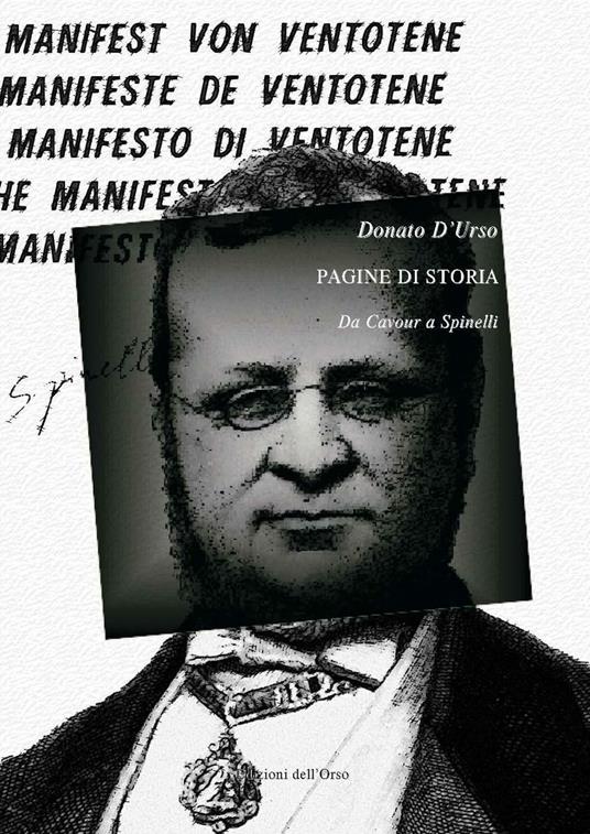 Pagine di storia. Da Cavour a Spinelli - Donato D'Urso - copertina