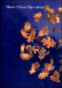 Mario Sillani Djerrahian. Inizio e fine del paesaggio. Ediz. illustrata - copertina