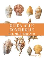 Guida alle conchiglie