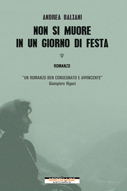 Non si muore in un giorno di festa - Andrea Balzani - copertina