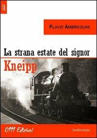 La strana estate del signor Kneipp - Flavio Ambroglini - copertina
