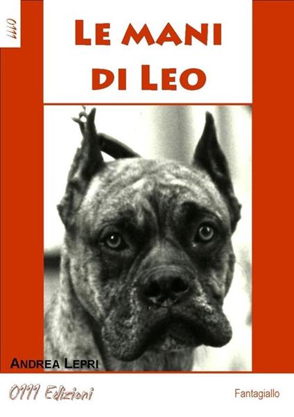 Le mani di Leo - Andrea Lepri - copertina