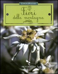 Libreria Internazionale Romagnosi snc