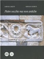 Pietre vecchie ma non antiche. Compendio di scultura medievale pisana fino all'età di Giotto. Ediz. illustrata