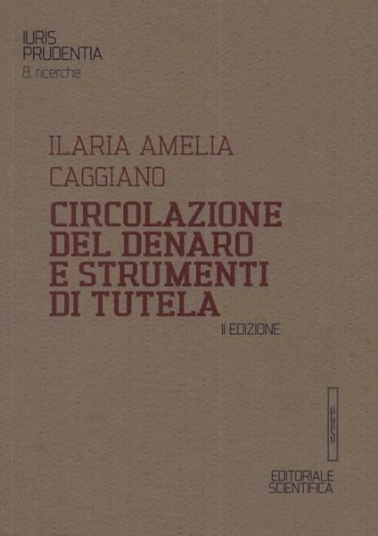 Circolazione del denaro e strumenti di tutela - Ilaria Amelia Caggiano - copertina
