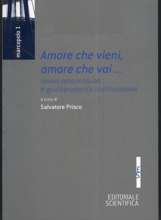 Amore che vieni, amore che vai... Unioni omossessuali e giurisprudenza costituzionale - copertina