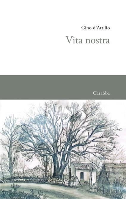 Vita nostra - Gino D'Attilio - copertina