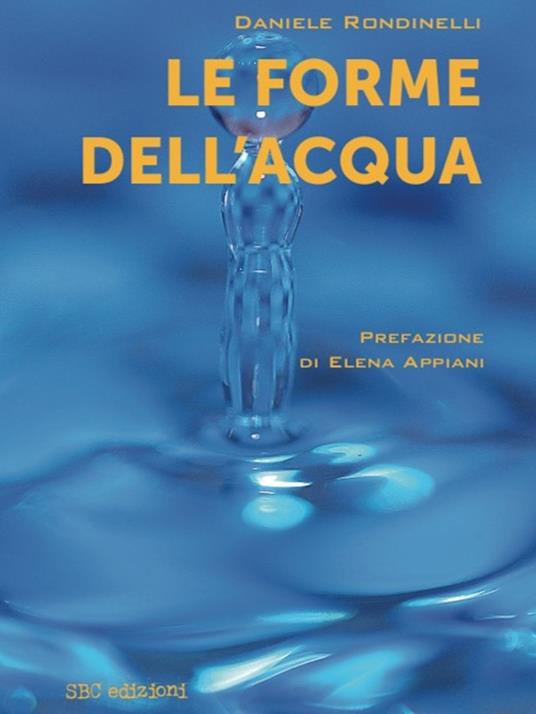 Le forme dell'acqua - Daniele Rondinelli - copertina
