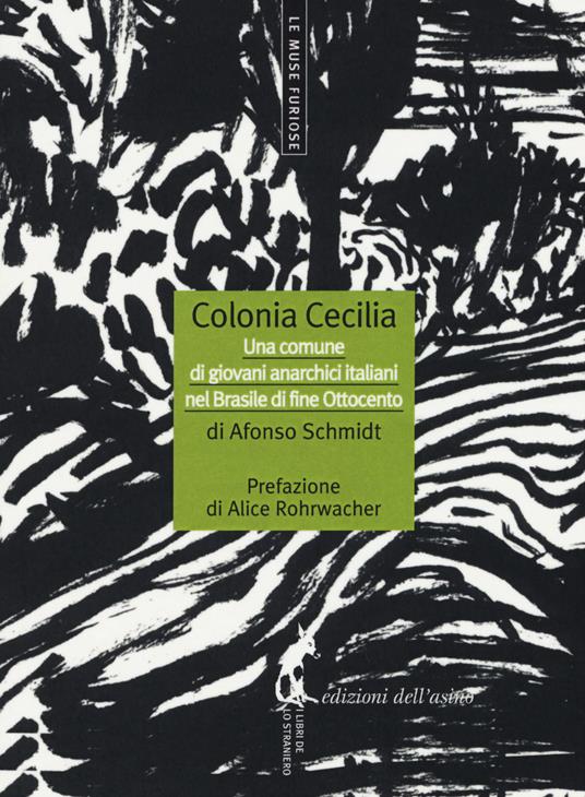 Colonia Cecilia. Una comune di giovani anarchici italiani nel Brasile di fine Ottocento - Afonso Schmidt - copertina