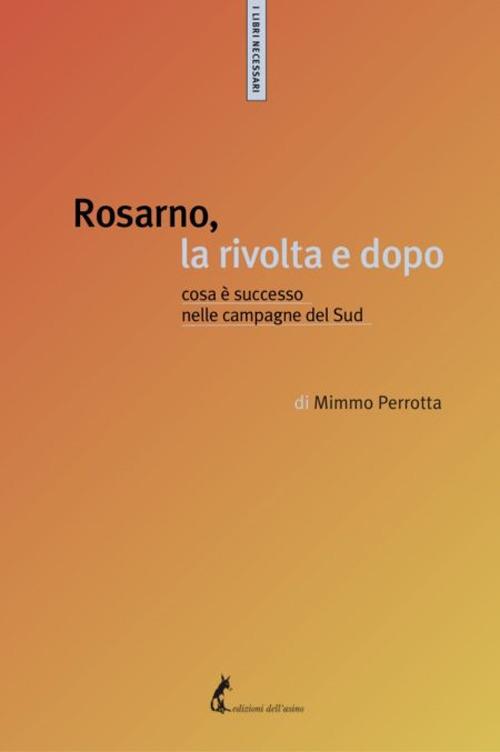 Rosarno, la rivolta e dopo. Cosa è successo nelle campagne del Sud - Mimmo Perrotta - copertina